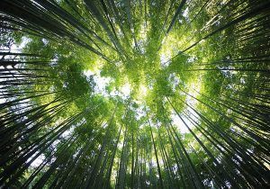 10 ways to love the planet back (a parent special!)