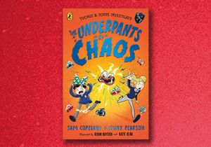 THE UNDERPANTS OF CHAOS